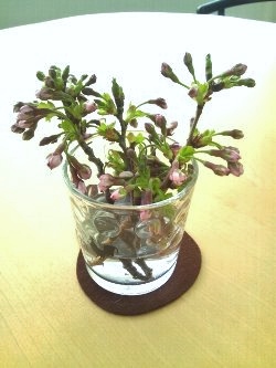 f:id:lovestamp:20180523195834j:plain