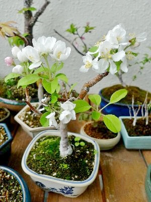 f:id:lovestamp:20180523221834j:plain