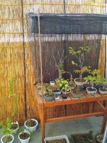 f:id:lovestamp:20180523225029j:plain