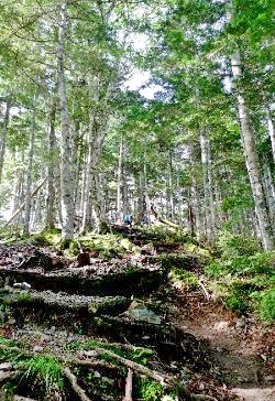 f:id:lovestamp:20180524091406j:plain