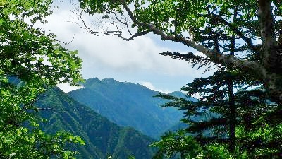 f:id:lovestamp:20180524091440j:plain