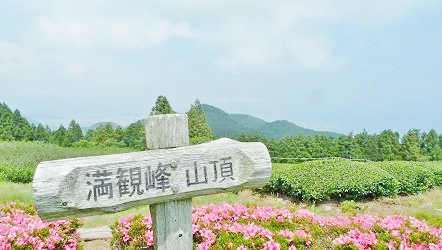 f:id:lovestamp:20180525103039j:plain