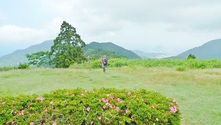 f:id:lovestamp:20180525103050j:plain