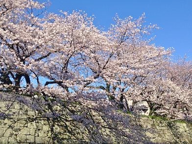 f:id:lovestamp:20180527193645j:plain