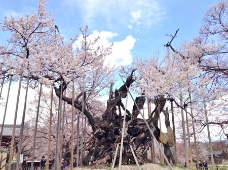 f:id:lovestamp:20180527194923j:plain f:id:lovestamp:20180527194923j:plain