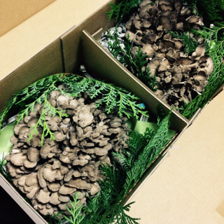 f:id:lovestamp:20180601102106j:plain f:id:lovestamp:20180601102106j:plain