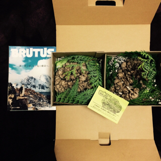 f:id:lovestamp:20180601102117j:plain f:id:lovestamp:20180601102117j:plain