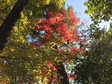 f:id:lovestamp:20191123225106j:plain