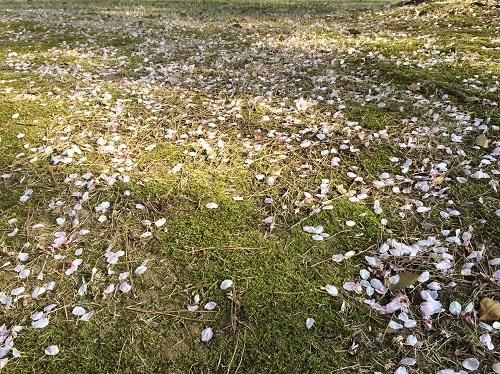 f:id:lovestamp:20210403232356j:plain