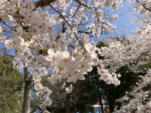 f:id:lovestamp:20230328235624j:image