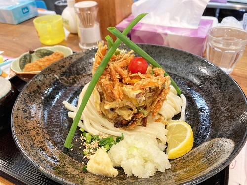金沢の人気うどん店【讃岐饂飩 宏之輔】で、かき揚げ天ぶっかけ - 旅と