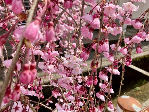 f:id:lovestamp:20250406232656j:image