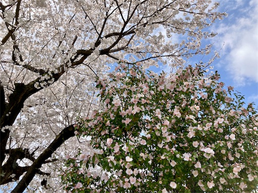 f:id:lovestamp:20250406232702j:image