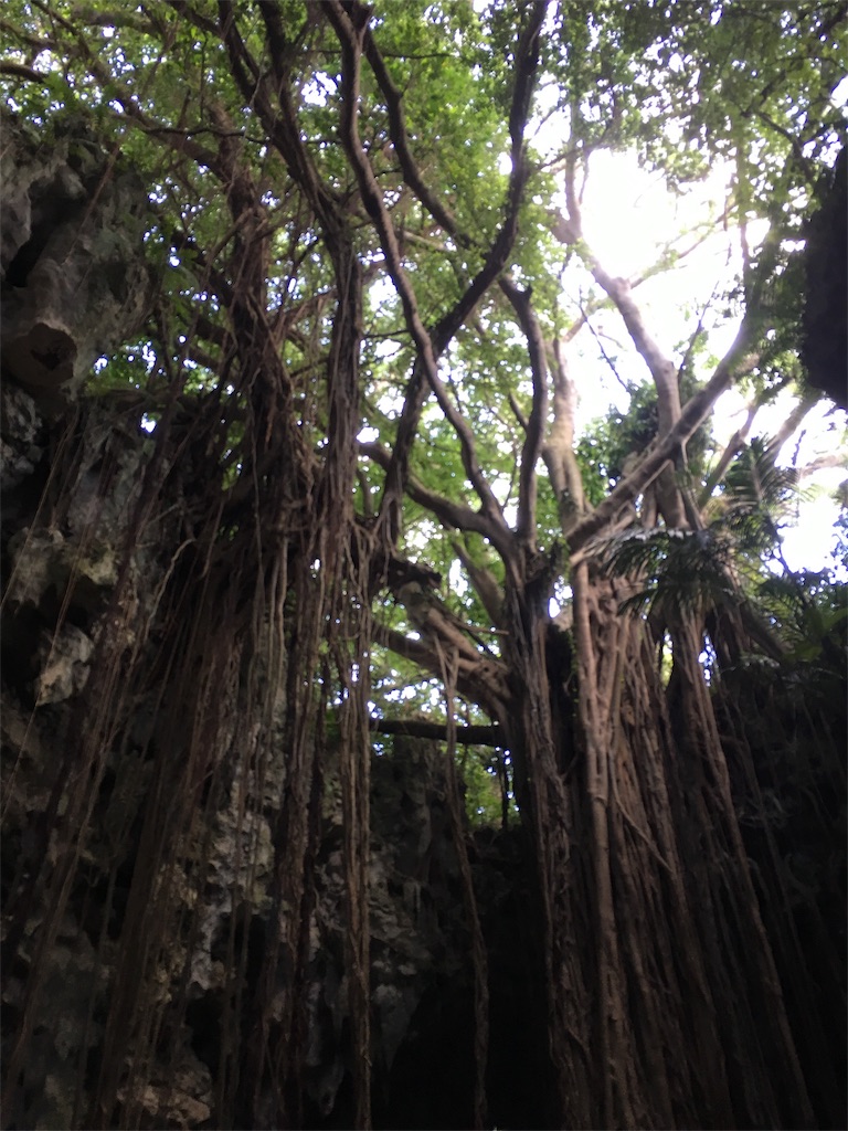 f:id:lovetravel1988:20171012215216j:image f:id:lovetravel1988:20171012215216j:image