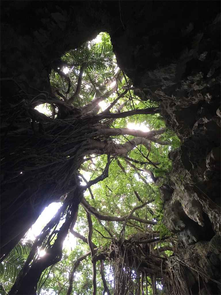 f:id:lovetravel1988:20171012215330j:image f:id:lovetravel1988:20171012215330j:image