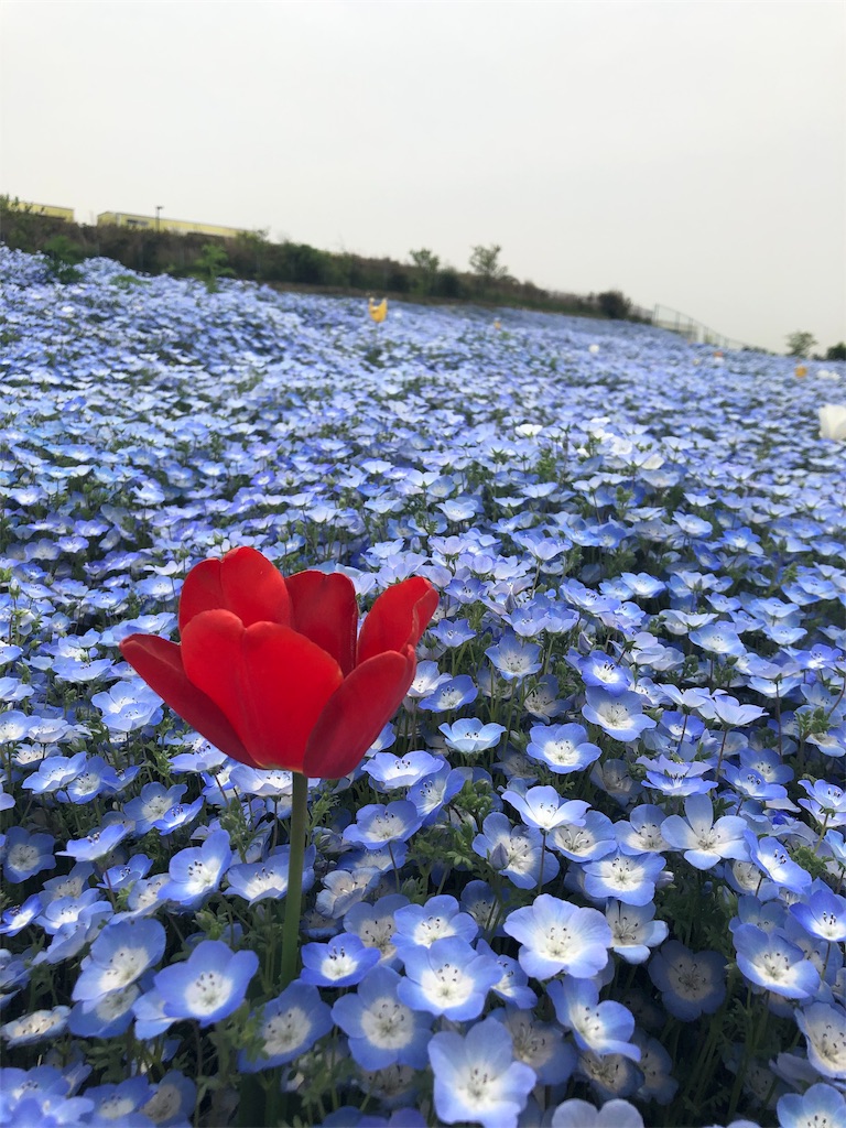 f:id:lovetravel1988:20190428184854j:image f:id:lovetravel1988:20190428184854j:image