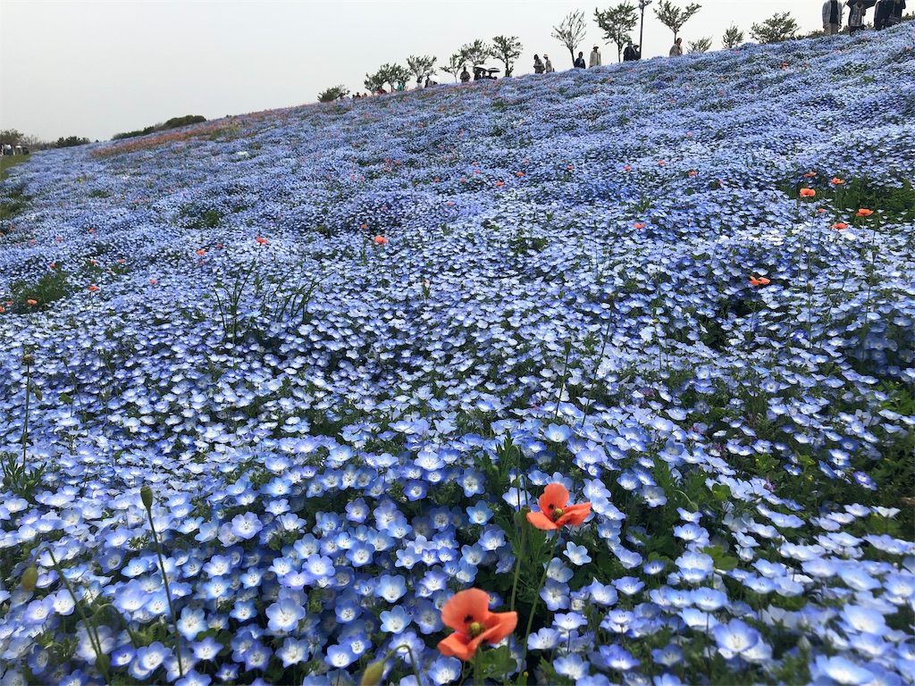 f:id:lovetravel1988:20190428184857j:image f:id:lovetravel1988:20190428184857j:image