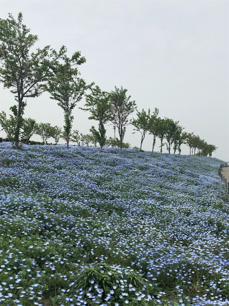 f:id:lovetravel1988:20190428184902j:image f:id:lovetravel1988:20190428184902j:image