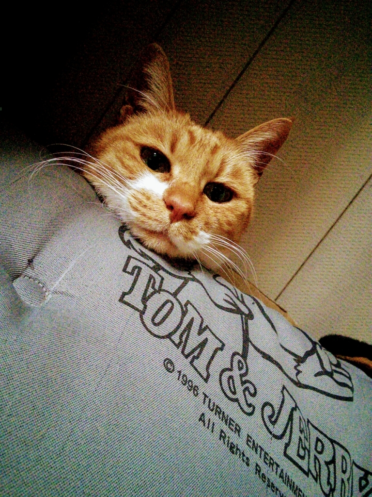 f:id:lovettel05:20180528113057j:plain