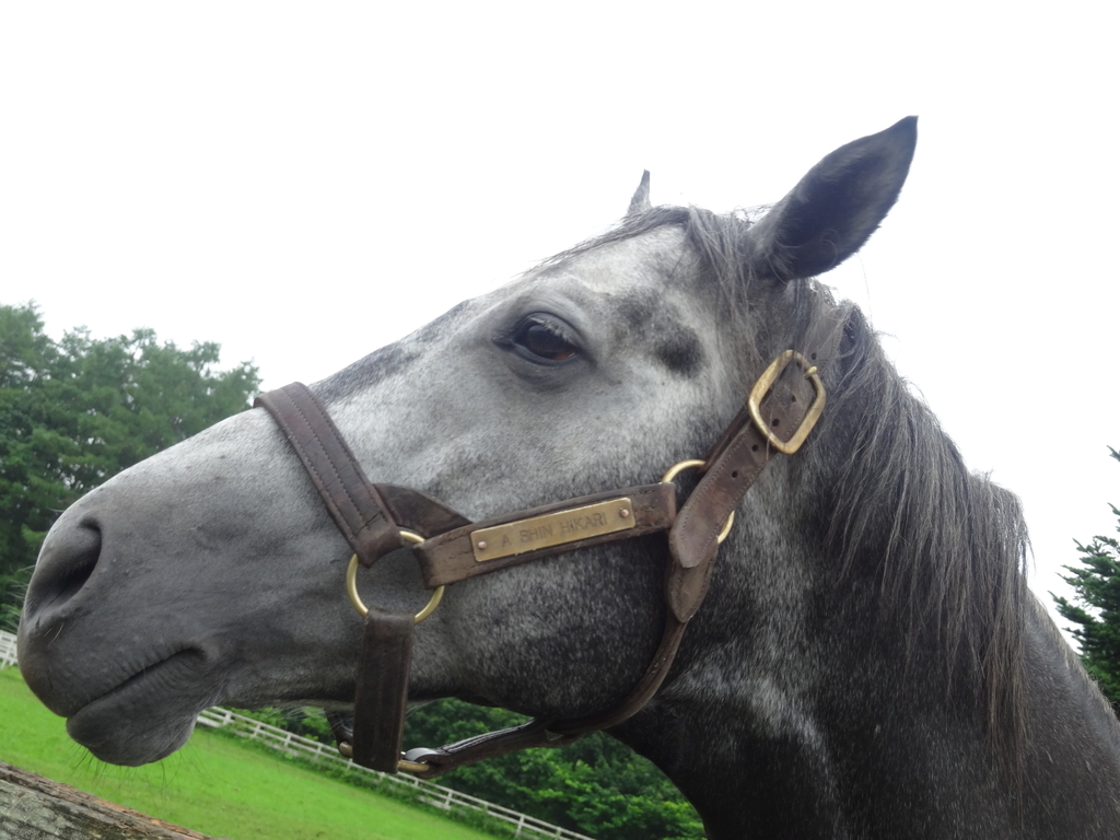 f:id:lovettel05:20181104115423j:plain