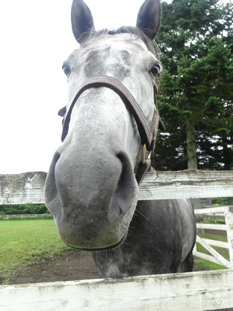 f:id:lovettel05:20181104115433j:plain