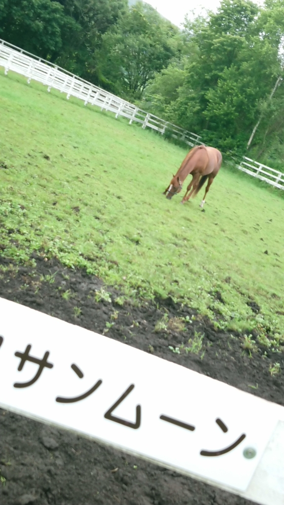 f:id:lovettel05:20181104120553j:plain