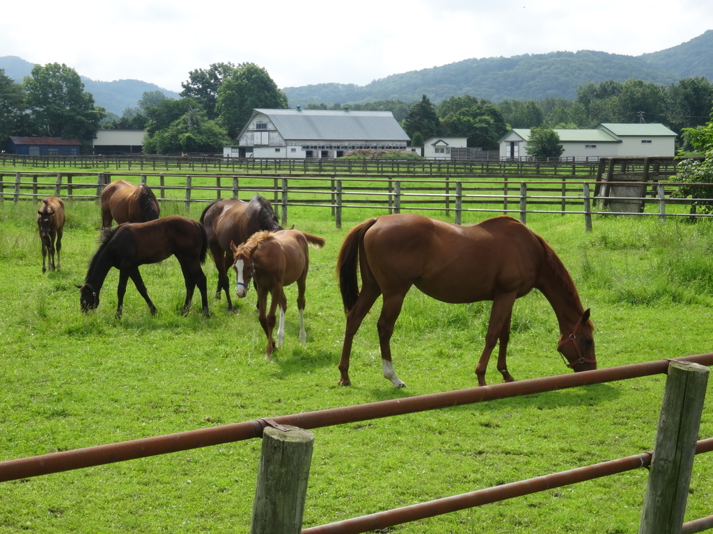 f:id:lovettel05:20181104123145j:plain