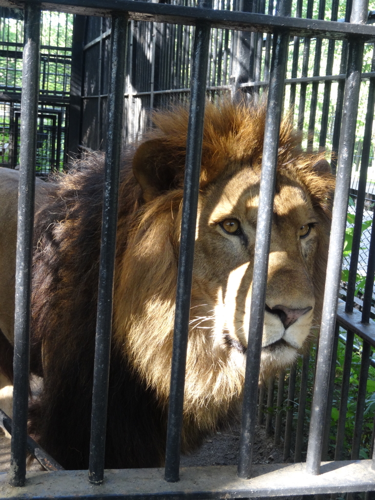 f:id:lovettel05:20181104123249j:plain