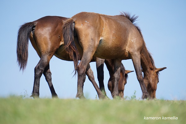 f:id:lovettel05:20190527102801j:plain