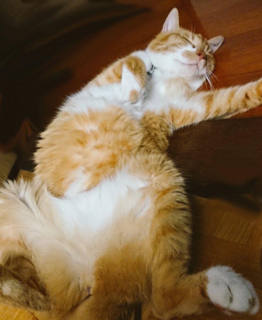 f:id:lovettel05:20191217194513j:plain