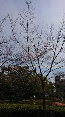 f:id:lovetv:20190323205838j:plain f:id:lovetv:20190323205838j:plain