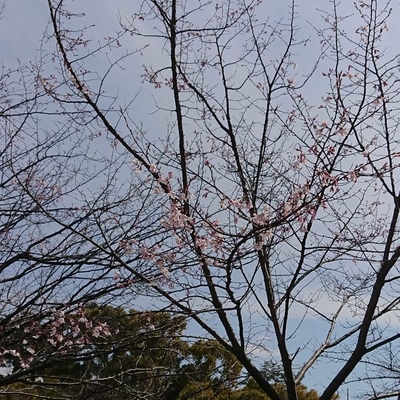 f:id:lovetv:20190323211156j:plain f:id:lovetv:20190323211156j:plain