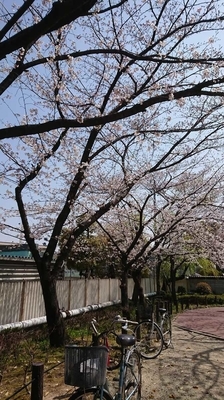f:id:lovetv:20190406160432j:plain f:id:lovetv:20190406160432j:plain