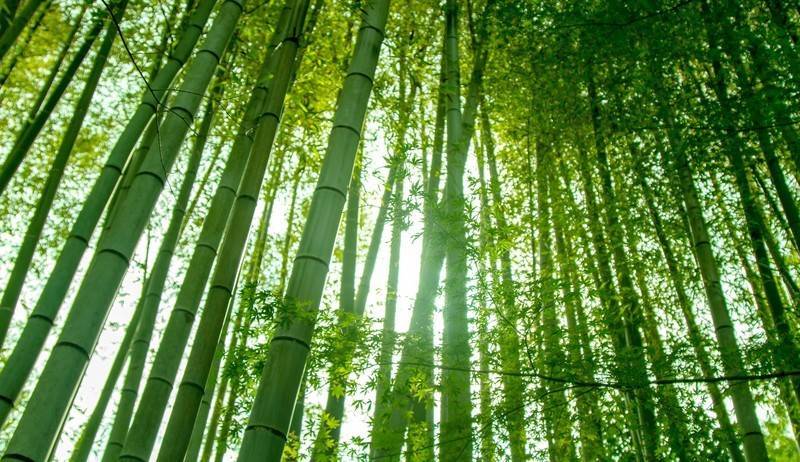 f:id:lovetv:20200714164425j:plain f:id:lovetv:20200714164425j:plain