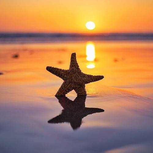 f:id:loveworklife:20161022191556j:plain f:id:loveworklife:20161022191556j:plain