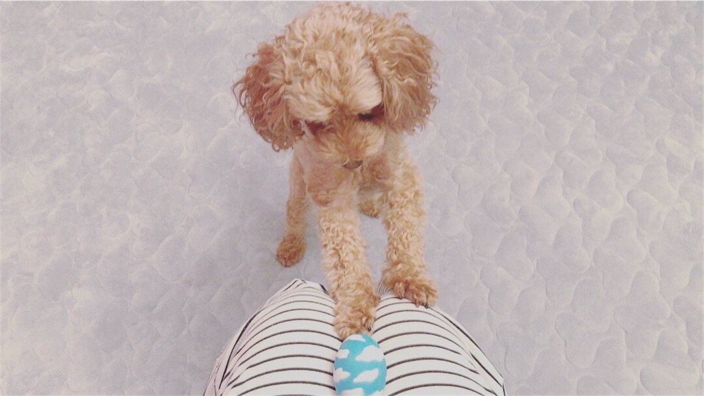 f:id:lovis:20171009042847j:image