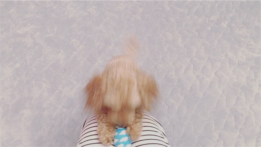 f:id:lovis:20171009042854j:image