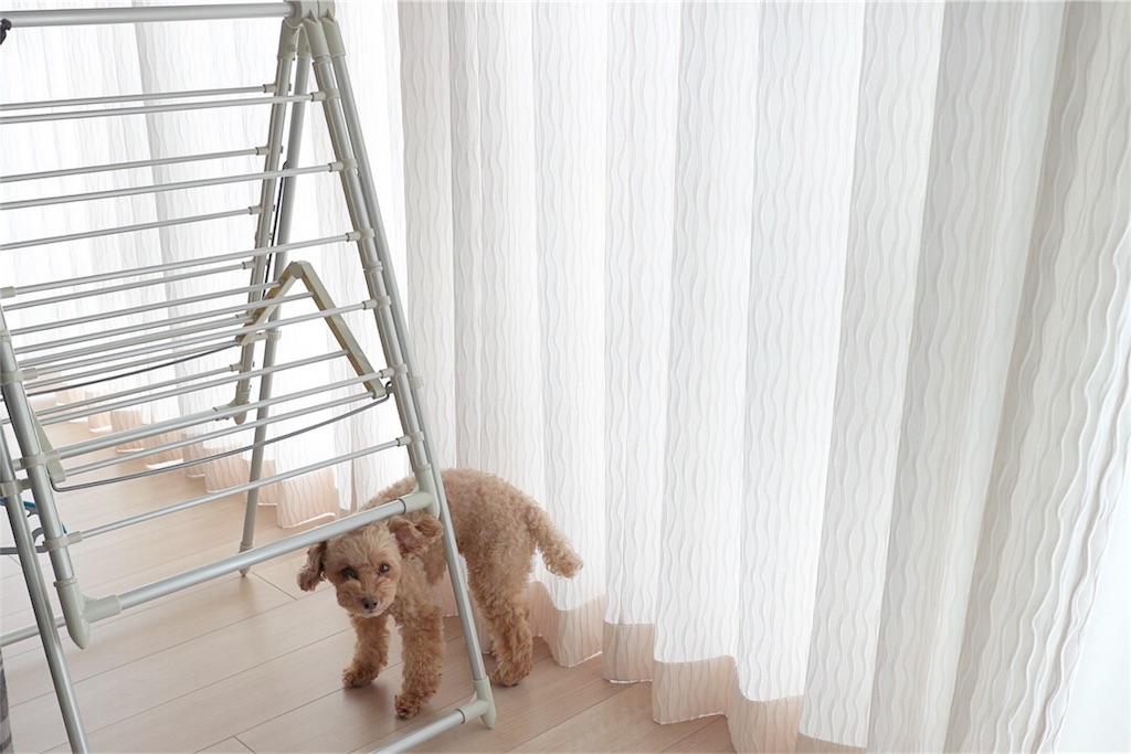 f:id:lovis:20171229135713j:image