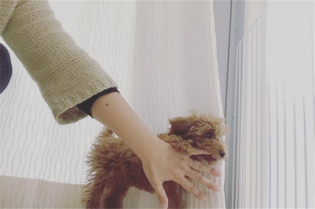 f:id:lovis:20180122193339j:image