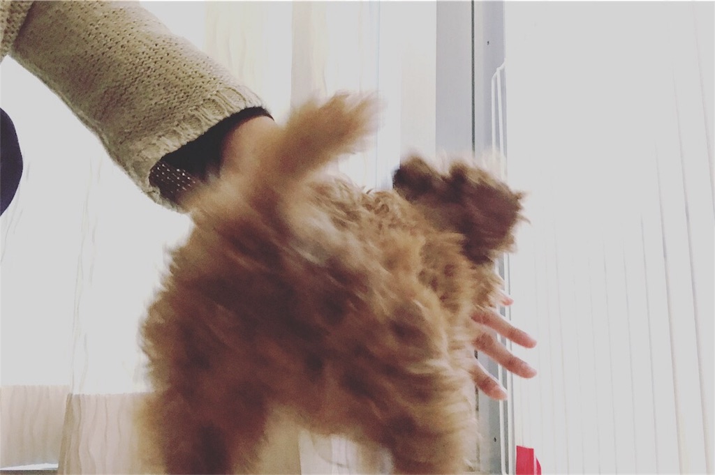 f:id:lovis:20180122193346j:image