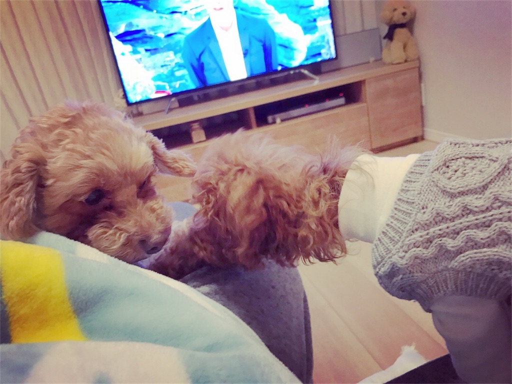 f:id:lovis:20180210211346j:image