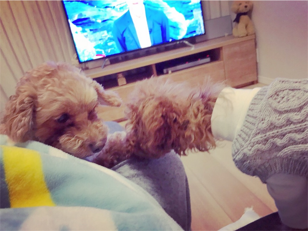 f:id:lovis:20180210211359j:image