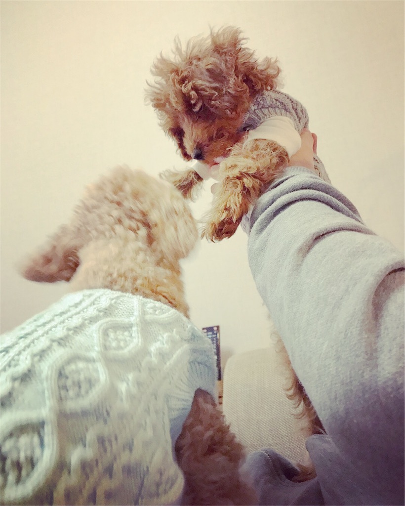 f:id:lovis:20180210211407j:image