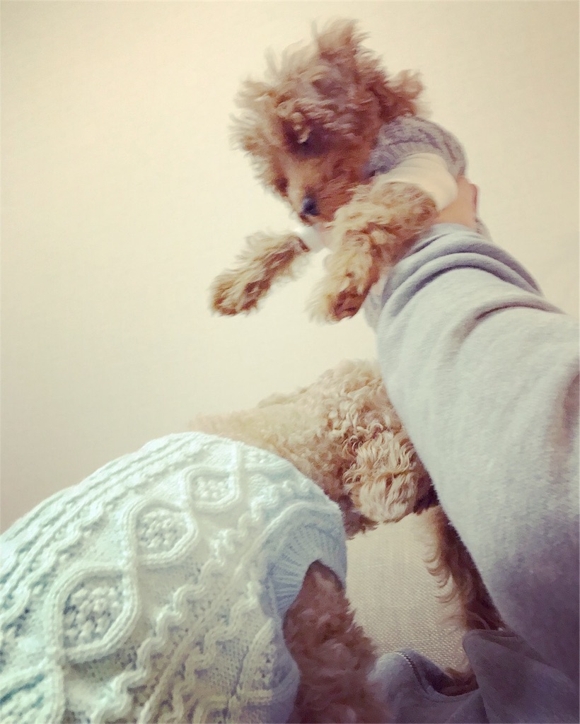 f:id:lovis:20180210211415j:image