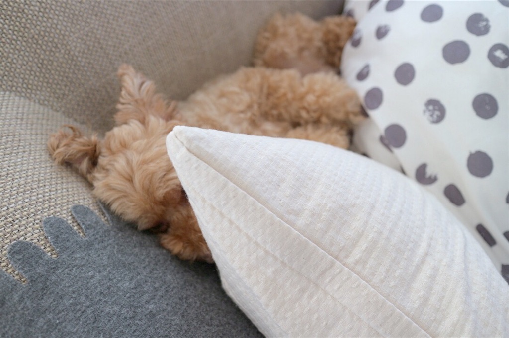 f:id:lovis:20180722091056j:image