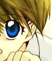 f:id:low-k:20090531145026j:image
