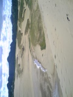 f:id:low-k:20100929095225j:image