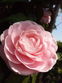 f:id:low-k:20110414143821j:image