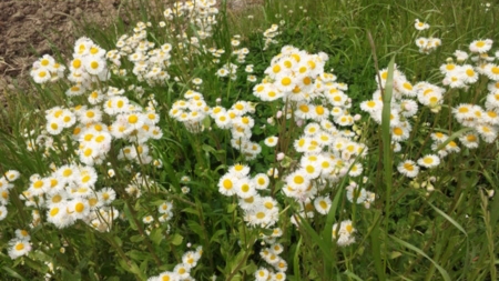 f:id:low-k:20110517121902j:image