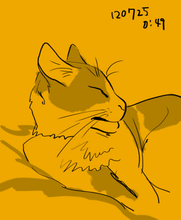 f:id:low-k:20120725005346j:image:w360